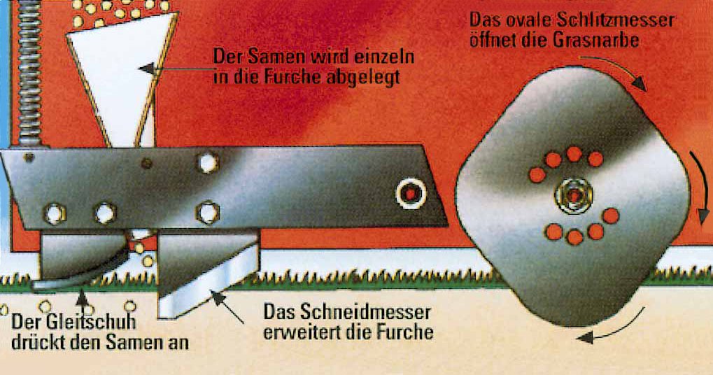 S.23-Verti-Seed_Zeichnung